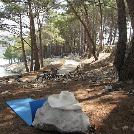 Apartamento Gordana *