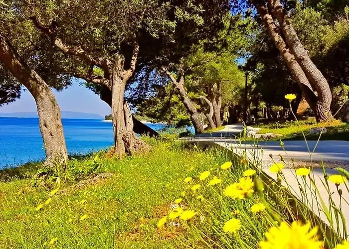Gordana * Cres
