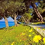 Gordana * Cres